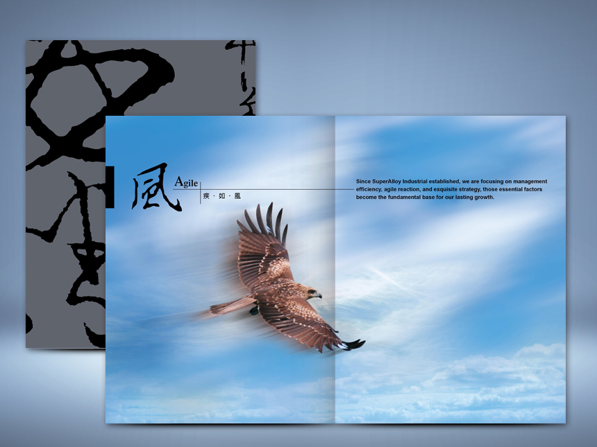 巧新型錄 / 型錄